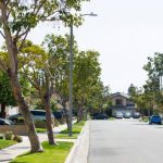 Auto Glass Repair in Cerritos