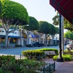 Auto Glass Repair in Whittier
