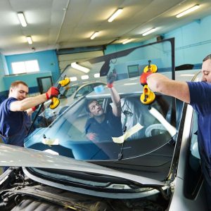 Professional Technicians